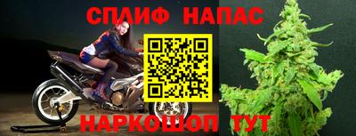 Альфа ПВП Кунгур