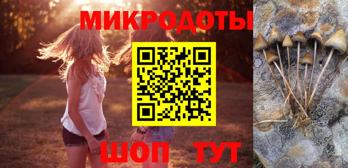 Псилоцибиновые грибы MAGIC MUSHROOMS Зеленокумск