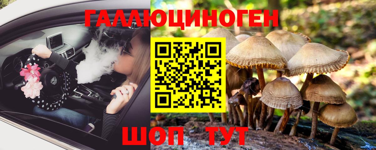 Псилоцибиновые грибы прущие грибы  Псилоцибиновые грибы MAGIC MUSHROOMS  Зеленокумск  Вход с VPN 